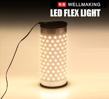 LED Flex Light 