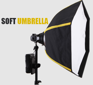 Softbox and Umbrella